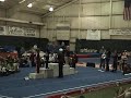rylie level four gymnastics awards