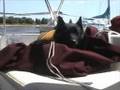 yogi + the pirate ship