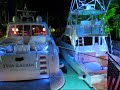azimut trip snorkeling plane crash shark feeding deep sea hid light