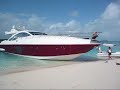 azimut trip  snorkeling plane crash shark feeding