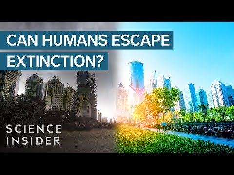 How Humans Can Cheat Extinction
