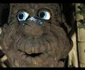 Animatronics singing Oaky Tree from KD Decoratives