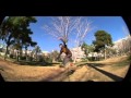 Team Gibbon Slackline España