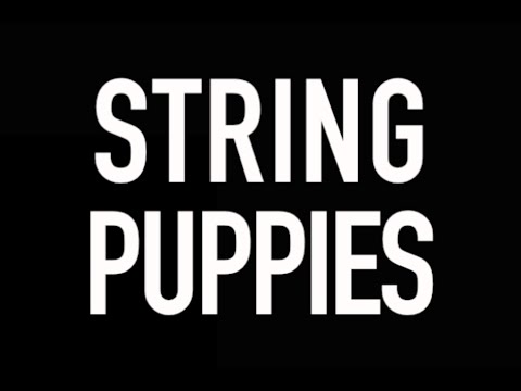 STRING PUPPIES - Official YouTube Channel TRAILER