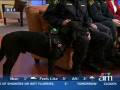 videos de CAT III and CRDS on Canada AM
