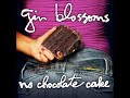 Bekijk muziek clip van Gin Blossoms met Somewhere Tonight