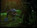 Goblin Squig Herder