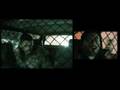 Hamfatter Do Something Stupid Tonight Video and Lyrics