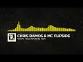 mc flipside biography mc flipside biography