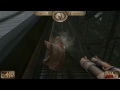 C2L4 Snowy bridge - World record speedrun painkiller [RJ19]