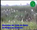 Humedales de Santa destruido por laguna de oxidacion