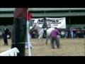 The Royal Dublin Horse Show 2008 - Marina Bynum
