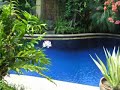 onze-huisjes-in-legian-bali.html