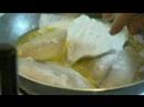 Fisch Fisch