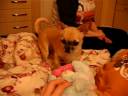 Roooossiii