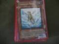 Frog Deck 2.0 team crucial