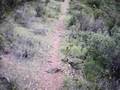 videos de enduro comodoro