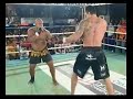 Drago - Buda Drago - Buda