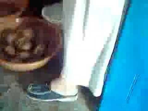 the making of Argan Oil