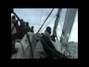 Regate voile Islandais n8 2008 YCB