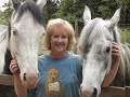 OSPCA Video