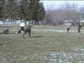 videos de Turkey Bowl 2008 P2