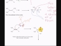markovnikov and hydrogen halides