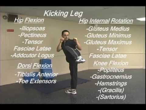 taekwondo