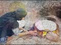 mazhary xalaqy