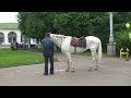 Kostroma part 1