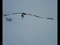 Doble salto