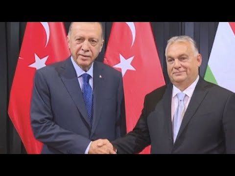 Ungarn/Türkei: Treffen in Budapest - Erdogans ungaris ...