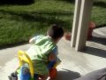 Shiloh Playing in Backyard