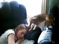 BaM Productions #9(princess Poop) BaM Productions #9(princess Poop)