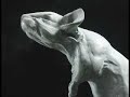 Pompeii mice - Mouse vs Volcano - mouse body casts