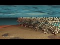 strandbeests by mr. theo jansen - illustration