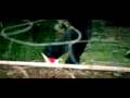 David Archuleta - Crush [OFFICIAL MUSIC VIDEO]