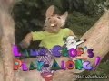 duh lambchop