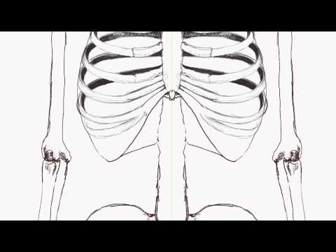 how to draw human anatomy