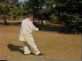 Wei ShuRen：Complete Yang Style Taji - LaoLiuLu 2 of 6
