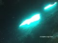 USB Biarritz Section Plongée sous-marine - Plongée aux esclaves