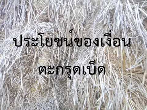 การผูกเงื่อนโดยครูสมพร