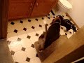 Sprocket and Sunny Sprocket and Sunny
