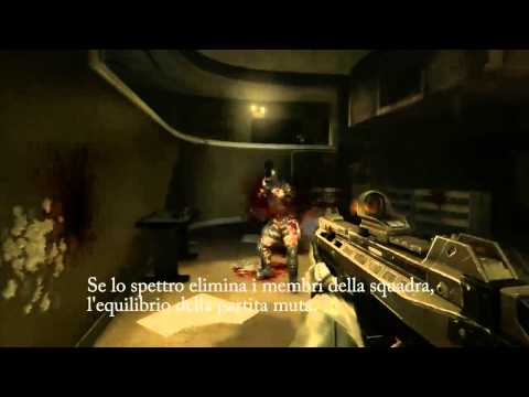 Immagine anteprima YouTube