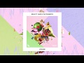 BEAUZ - Lite Drip (ft. BAER & The Crushboys) ð