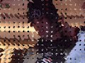Umbrella(crissangel)