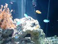 alguns momentos de um pedaço no oceano em uma sala de estar 