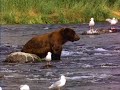 Take A Bow - Rihanna with nature pictures and lyrics