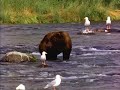 Take A Bow - Rihanna with nature pictures and lyrics