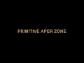 Primive aper zone